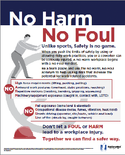 no harm no foul poster